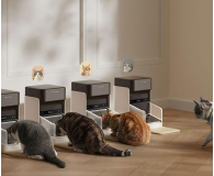Petlibro INTELIGENTNY DOZOWNIK KARMY RFID Z OBROŻĄ, 3L - 1515027 - zdjęcie 6